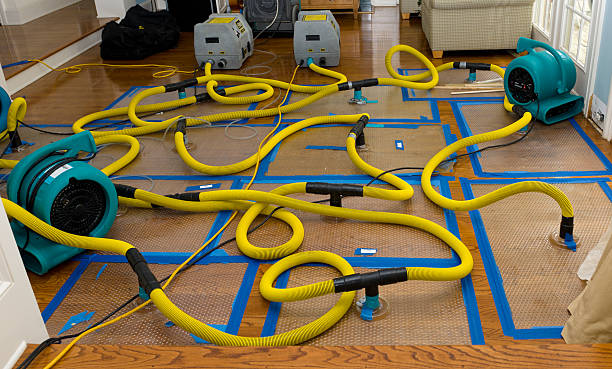 Professional Crawl Space Water Removal technician working in Duquesne, MO
